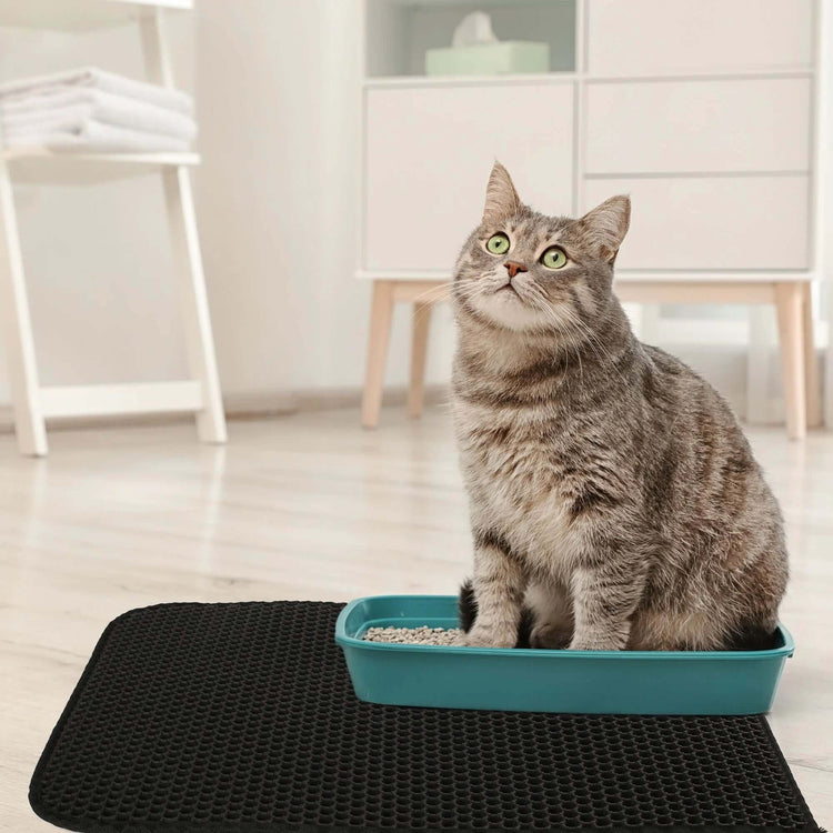 Cat Litter Mat - Double Layer Waterproof Urine Trapper, Non-Slip, Black