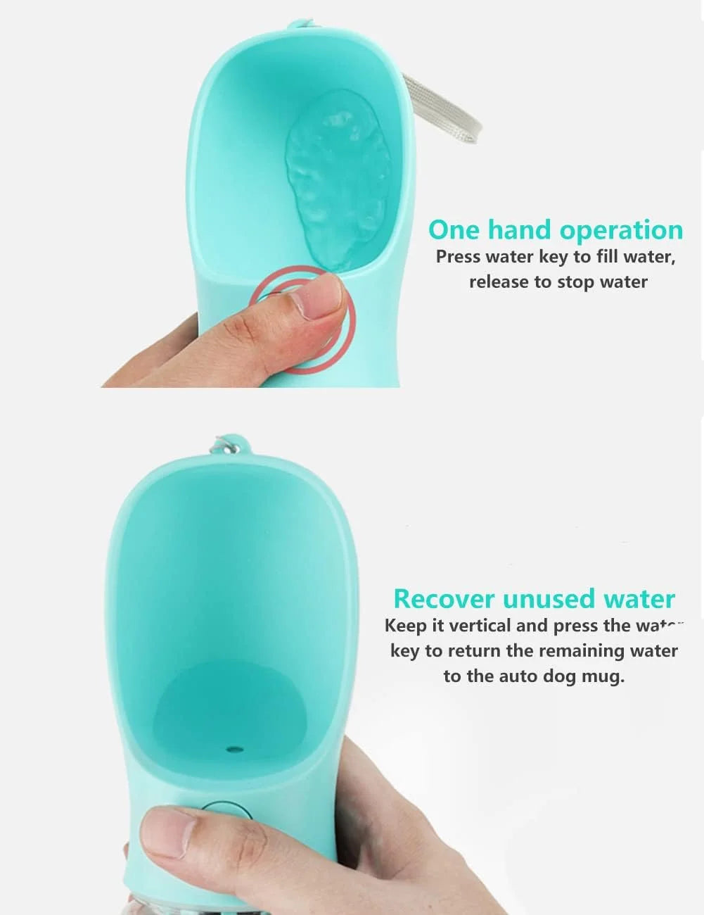 AquaPaw