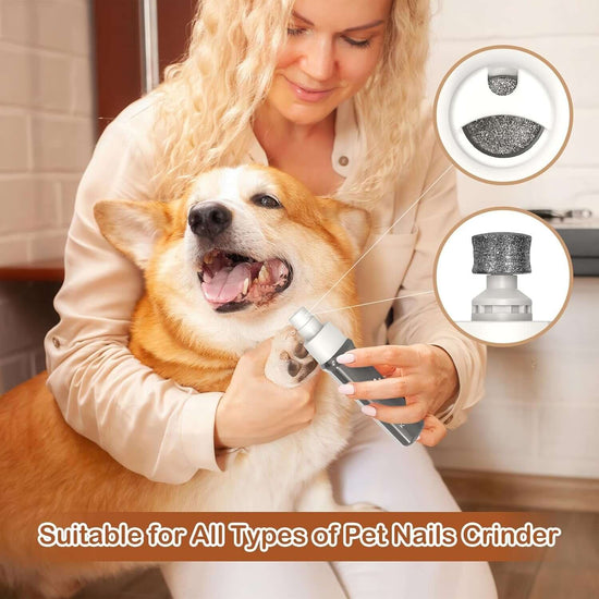 PawPro 4-in-1 Pet Grooming Kit – Rechargeable Low Noise Clippers for Dogs & Cats